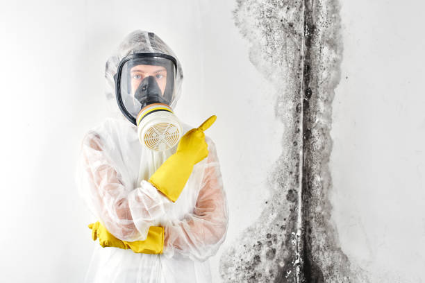 Best Industrial Mold Remediation  in Danville, AR