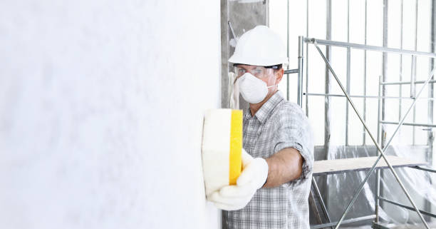 Best Asbestos and Lead Testing During Mold Inspection  in Danville, AR