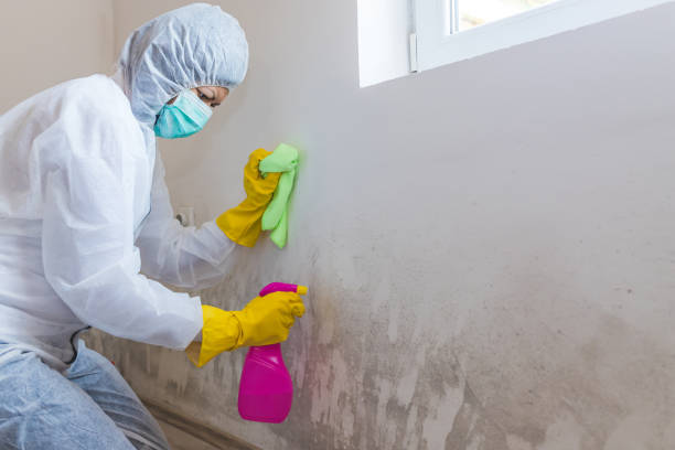 Best Crawl Space Mold Remediation  in Danville, AR