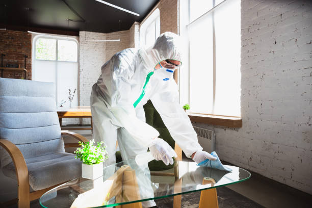 Reliable Danville, AR Mold Removal Services Solutions